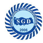 denetmen-logo